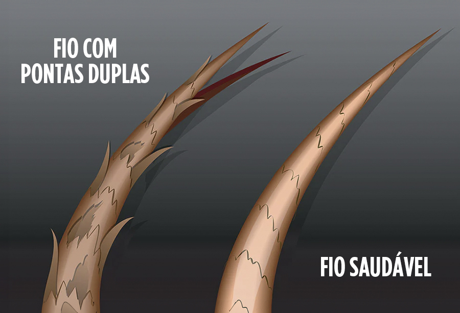 A imagem mostra as diferenças entre um fio saudavel e um com pontas-duplas.